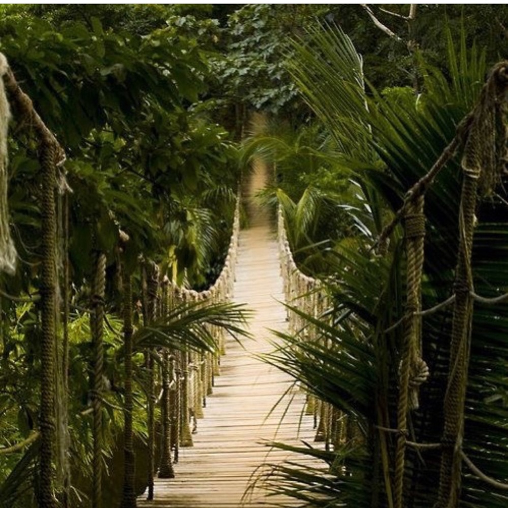 Meet your Posher, Toinise